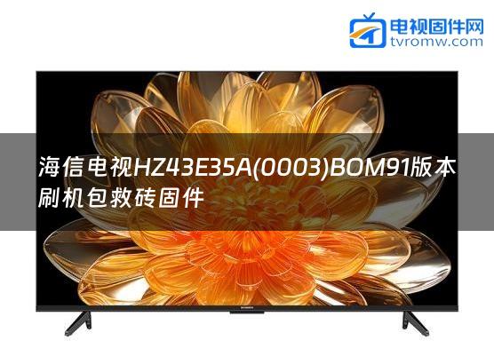 海信电视HZ43E35A(0003)BOM91版本刷机包救砖固件缩略图