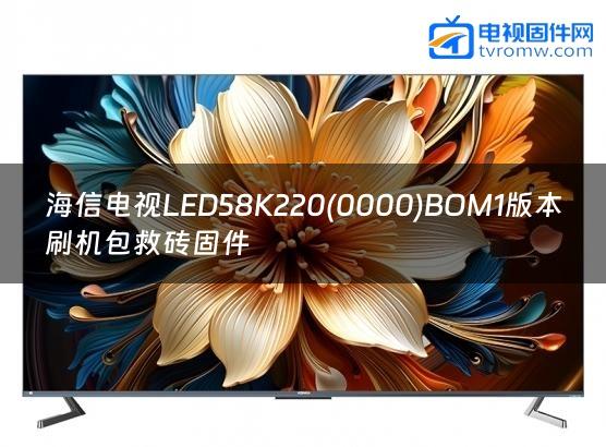 海信电视LED58K220(0000)BOM1版本刷机包救砖固件缩略图