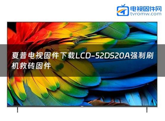 夏普电视固件下载LCD-52DS20A强制刷机救砖固件缩略图