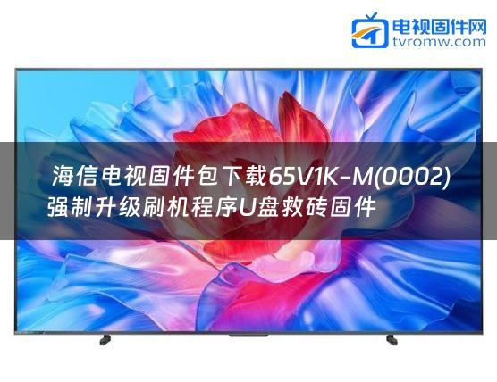  海信电视固件包下载65V1K-M(0002)强制升级刷机程序U盘救砖固件
